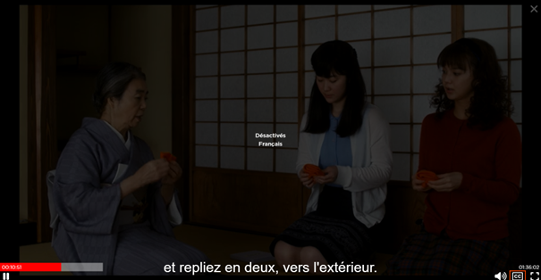 st lecteur hors ligne.png