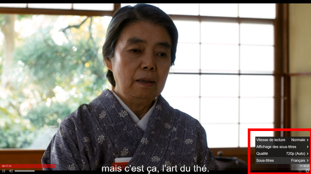 st-lecteur-streaming.jpg